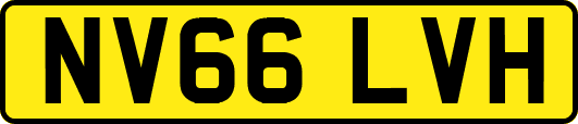 NV66LVH