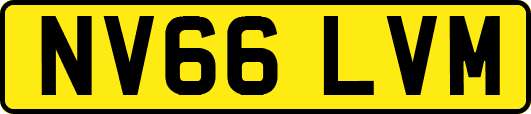 NV66LVM