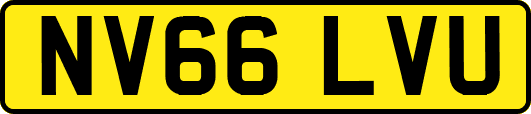 NV66LVU