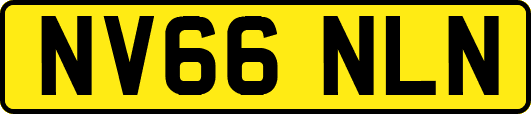 NV66NLN