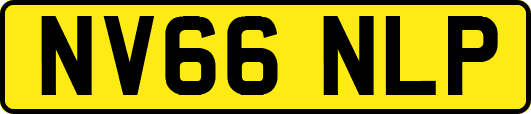 NV66NLP