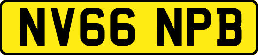 NV66NPB