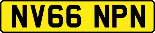 NV66NPN