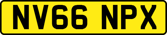 NV66NPX