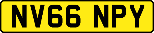 NV66NPY