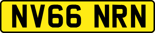 NV66NRN