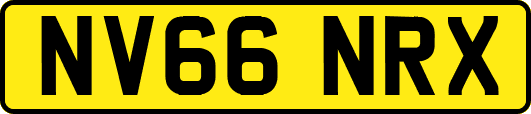 NV66NRX