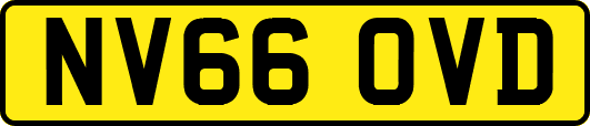NV66OVD