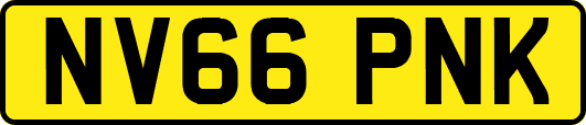 NV66PNK