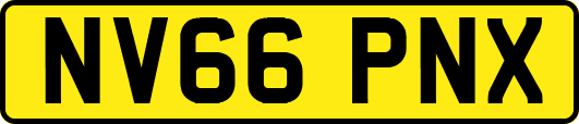 NV66PNX