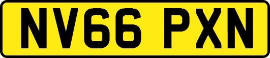 NV66PXN