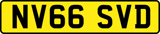 NV66SVD