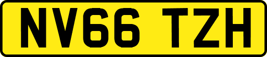 NV66TZH