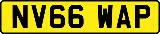 NV66WAP