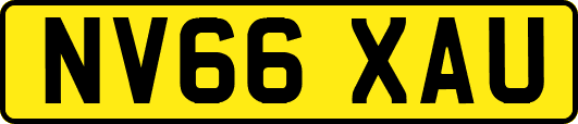 NV66XAU