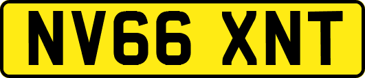 NV66XNT