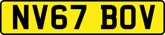 NV67BOV
