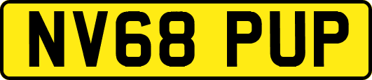 NV68PUP