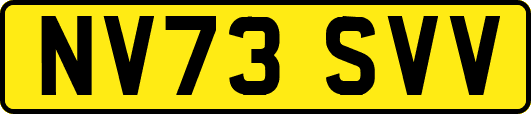 NV73SVV