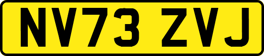 NV73ZVJ
