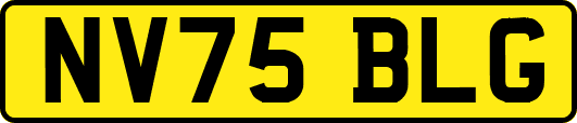 NV75BLG