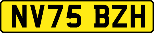 NV75BZH