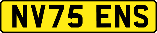 NV75ENS