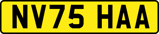 NV75HAA