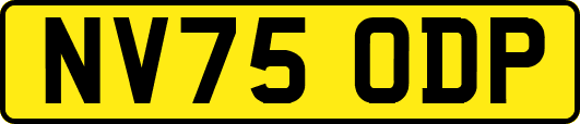 NV75ODP