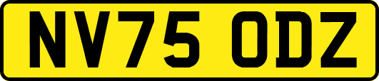 NV75ODZ