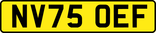 NV75OEF