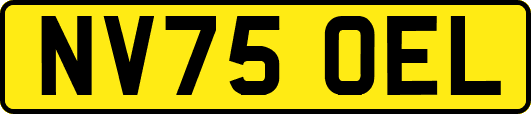 NV75OEL