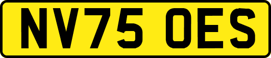 NV75OES
