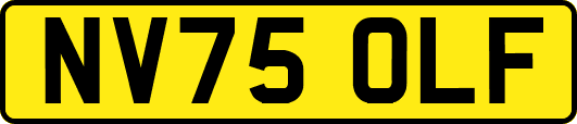 NV75OLF