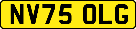 NV75OLG