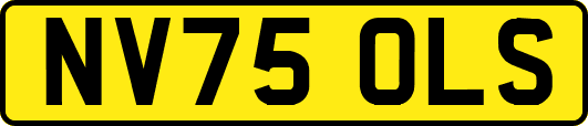 NV75OLS