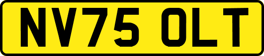 NV75OLT