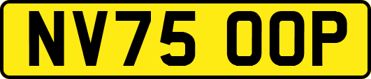 NV75OOP