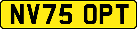 NV75OPT