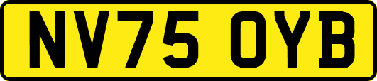 NV75OYB