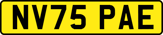 NV75PAE