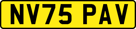 NV75PAV
