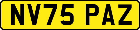 NV75PAZ