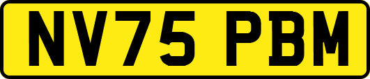 NV75PBM