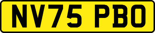 NV75PBO