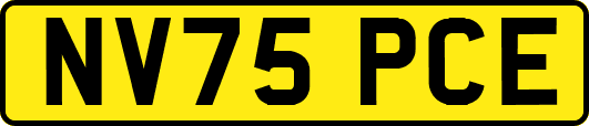 NV75PCE