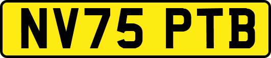 NV75PTB