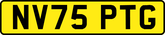 NV75PTG