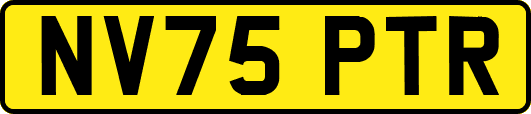 NV75PTR