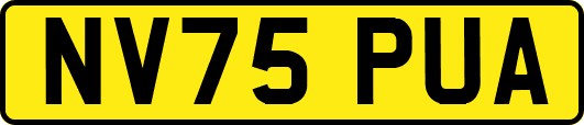 NV75PUA
